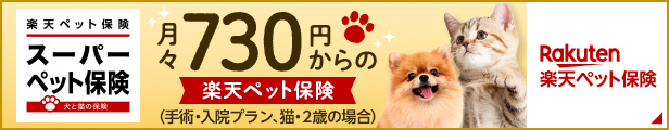 犬の保険・猫の保険なら楽天ペット保険「ずっといっしょ[もっと]」